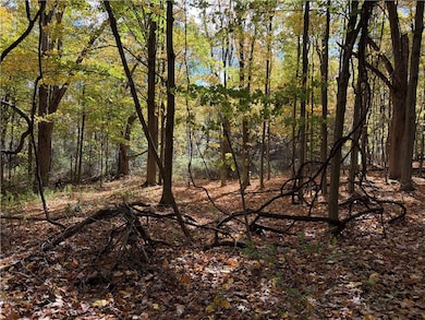 0 Eelpot Rd unit R1642565, Naples, NY 14512 - photo 6