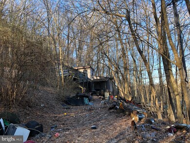 18321 Mount Lock Canal Rd, Sharpsburg, MD 21782 - photo 4