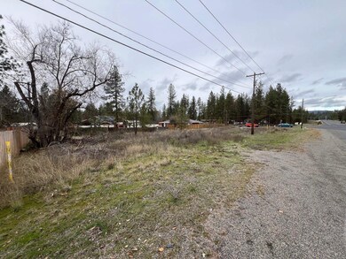 Xxx N Seven Mile Rd, Nine Mile Falls, WA 99026 - photo 6