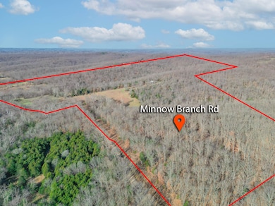 0 Minnow Branch Rd, Buffalo Township, MO 65078 - photo 6