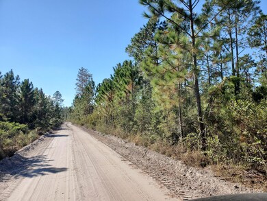 0 SW Brown Rd, Lee, FL 32059 - photo 4