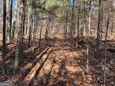 0 Quail Way unit LOT 533, Jasper, GA 30143 - photo 4