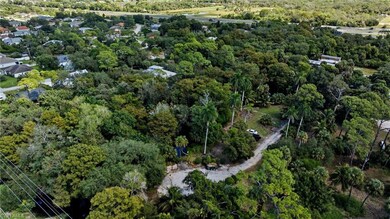 12025 Carpenter Ln, Bonita Springs, FL 34135 - photo 5