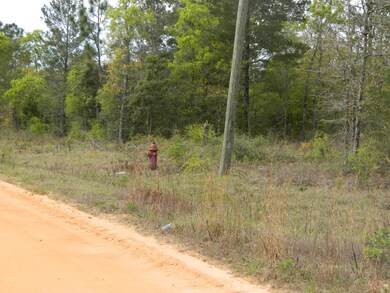Fire Hydrant across from lot.JPG