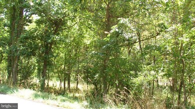 0 Rock Gap Rd unit 1004526460, Berkeley Springs, WV 25411 - photo 3