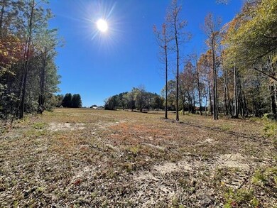 608 Bc Estates Ln, Cross, SC 29436 - photo 6