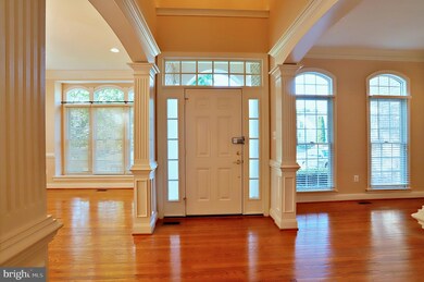 8163 Snead Loop, Gainesville, VA 20155 - photo 4