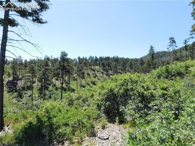 8249 Yuma Cir, Larkspur, CO 80118 - photo 5