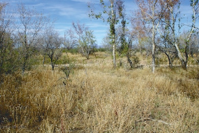 10 Acres E Roadrunner Rd unit D, Pearce, AZ 85625 - photo 3
