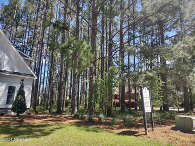 IMG_20240405_121507542_HDR (1)