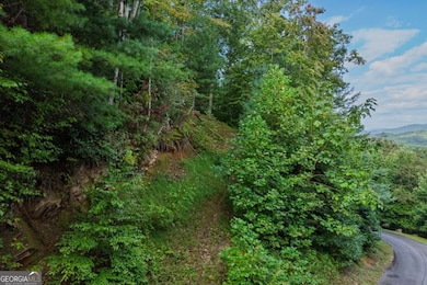 0 Dusty Danno Trail unit 25,27 10601098, Mineral Bluff, GA 30559 - photo 3