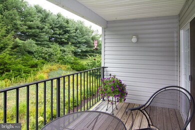 6502 Ridenour Way E unit 3B, Sykesville, MD 21784 - photo 4