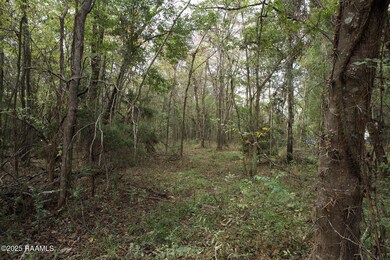 1864 Bushville Hwy, Arnaudville, LA 70512 - photo 6