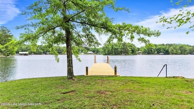 4 dock and tree