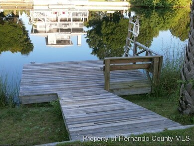 3183 Hibiscus Dr, Hernando Beach, FL 34607 - photo 4