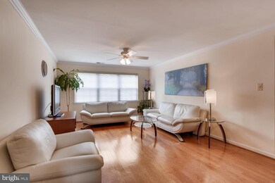 26 Alanbrooke Ct unit 26D, Towson, MD 21204 - photo 7