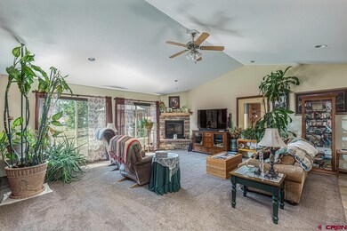 1113 Long Hollow Cir, Durango, CO 81301 - photo 7