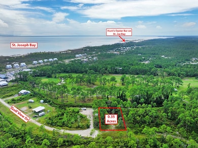 300 Golf View Dr, Port St. Joe, FL 32456 - photo 3