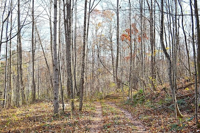 Trail View