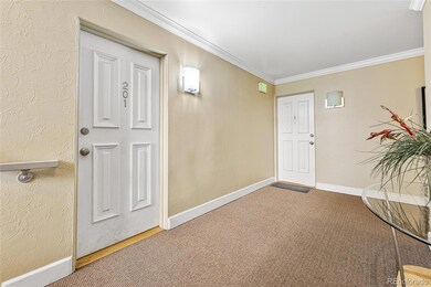 969 S Pearl St unit 201, Denver, CO 80209 - photo 6