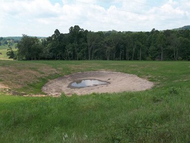 0 Morgan Rd, Rutledge, TN 37861 - photo 4