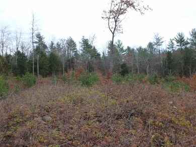 50 Nash Corner Rd, Gilsum, NH 03448 - photo 4