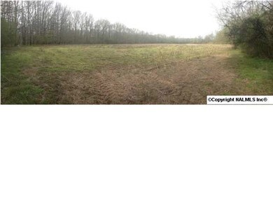 FIELD BEHIND RIVER CURRENTLY LEASED FOR ROW CROP AND IS NORMALLY PLANTED IN CORN.