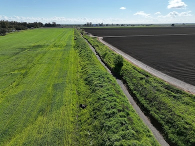 28470 County Rd 6, Dunnigan, CA 95937 - photo 2