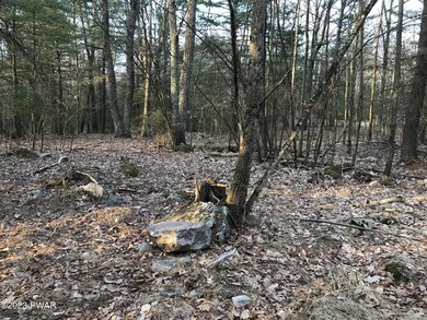 21 Coyote Ridge, Hawley, PA 18428 - photo 6