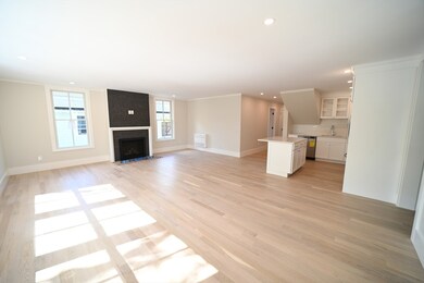39 Eliot St unit 2, Chestnut Hill, MA 02467 - photo 2