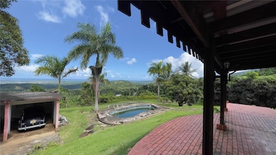 960 km 3.2 Lot A Bo Guzman Arriba, Rio Grande, PR 00745 - photo 5