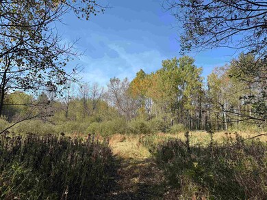 1xxx 460th Ln, Palisade, MN 56469 - photo 4