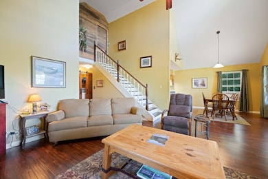 Living room featuring high vaulted ceiling and dark wood-type flooring