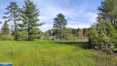 80048 Tamarack, Tower, MN 55790 - photo 6