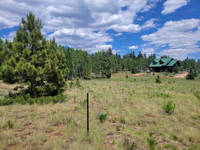 4175 Sundance Kid Ln, Duck Creek Village, UT 84762 - photo 7