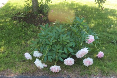 105 Cadwell Rd, Pittsfield, MA 01201 - photo 2