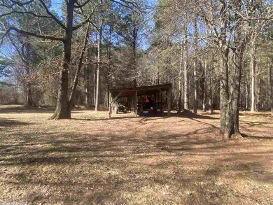 15556 Chula Rd, Plainview, AR 72857 - photo 3