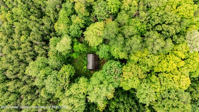 13505 7 Mile Rd, Evart, MI 49631 - photo 3