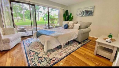Lots of natural light, wood-look floors, and a sof