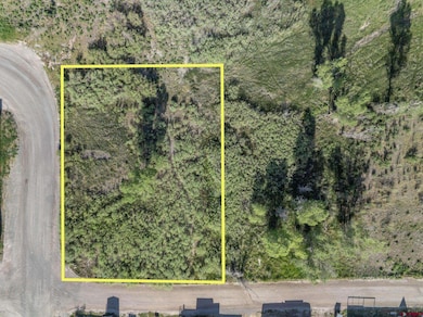 TBD 13-16 Hyde St, Ridgway, CO 81432 - photo 7