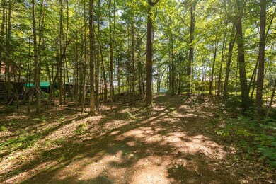 13 Allen Rd, Littleton, NH 03561 - photo 2