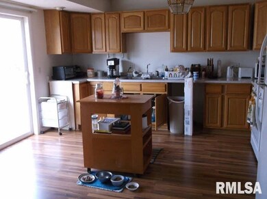 227 S Capitol St, Harrisburg, IL 62946 - photo 7