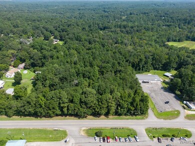 00 University Blvd E, Cottondale, AL 35453 - photo 6