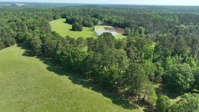 887 Highway 239, Midway, AL 36016 - photo 5