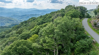 L59 Eagle Cliff Trail, Banner Elk, NC 28604 - photo 6