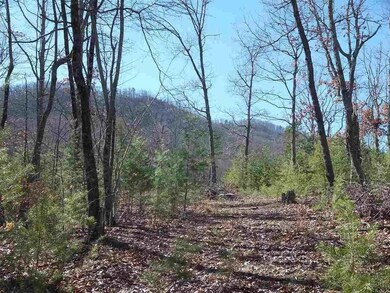 Appleview Way unit Newport TN 37821, Newport, TN 37713 - photo 6