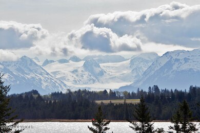Grewingk Glacier View