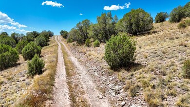 00 N Hilltop Trail - Lot D3 -- unit D2, Chino Valley, AZ 86323 - photo 7