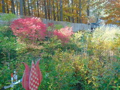 41 Base Hill Rd, Keene, NH 03431 - photo 4