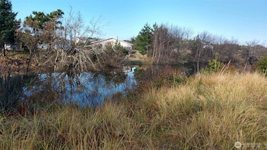 31911 I St, Ocean Park, WA 98640 - photo 4